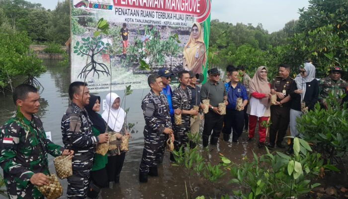Walikota Tanjungpinang Pimpin Penanaman 5.000 Mangrove Untuk Ruang Terbuka Hijau
