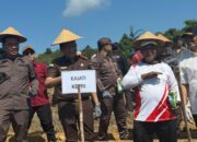 Dukung Program “Jaksa Mandiri Pangan” Kajati Kepri dan Kajari Batam Tanam Jagung di Kawasan Rempang Cate Kota Batam