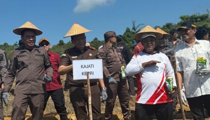 Dukung﻿ Program “Jaksa Mandiri Pangan” Kajati﻿ Kepri dan Kajari Batam Tanam Jagung di Kawasan Rempang Cate Kota Batam