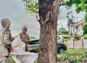 Satpol PP Tanjungpinang Copot Pamflet Sembarangan di Sejumlah Titik