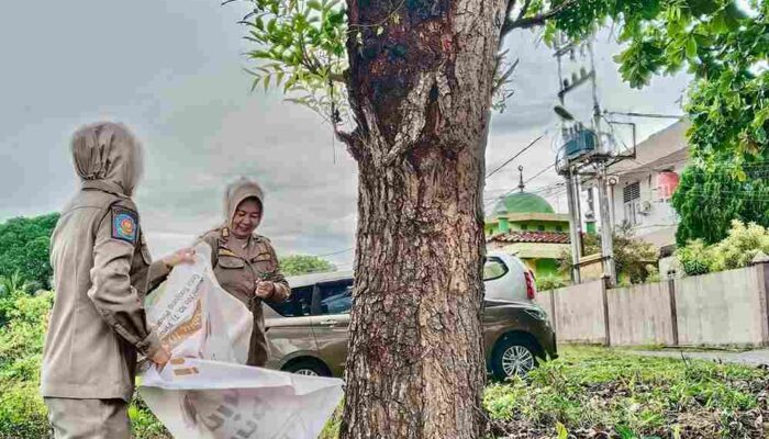 Satpol PP Tanjungpinang Copot Pamflet Sembarangan di Sejumlah Titik