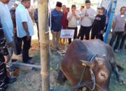 Sampaikan Kepedulian Presiden, Lis Serahkan dan Sembelih Langsung Sapi Qurban Untuk Warga Tanjungpinang