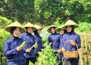 Kepala Lapas Kelas IIA Tangerang Panen Sayur Pare Bersama Warga Binaan