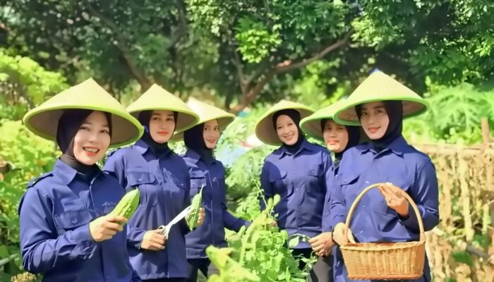 Kepala Lapas Kelas IIA Tangerang Panen Sayur Pare Bersama Warga Binaan