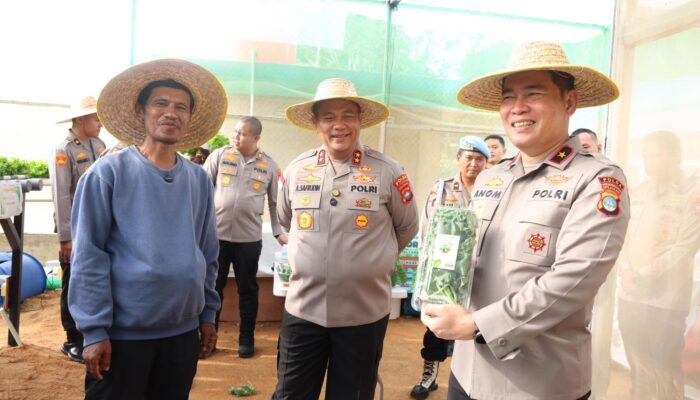 Dukung Ketahanan Pangan, Polda Kepri Panen Perdana Hidroponik