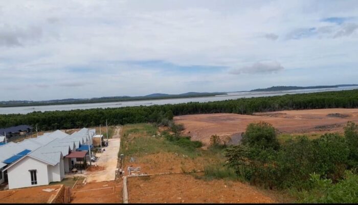 Hutan Mangrove di Tanjung Piayu Batam Punah di Timbun